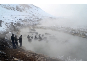 Mandaların Eksi 10 Derecede Kaplıca Sefası
