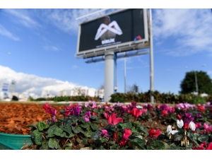 Mersin Büyükşehir Belediyesi, Çiçek Dikimine Devam Ediyor