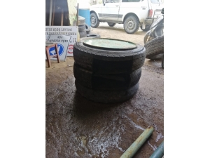 Eski Lastikler Hayvanlara Barınak Oluyor