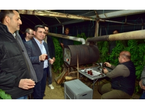 Başkan Tütüncü, Üreticiyle Sera Nöbetinde