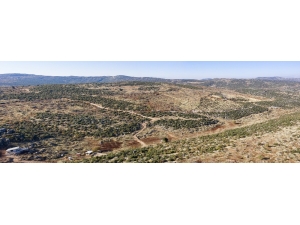 Kırsal Mahalledeki Çiftçiler İçin Belediye İmkanları Seferber Edildi