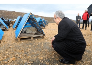 Ünye’ye Büyükşehir Damgası