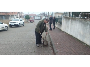 Her Gün Oturduğu Caddeyi Temizliyor