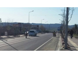 Yolda Başıboş Gezen Eşek Sürücülere Zor Anlar Yaşattı