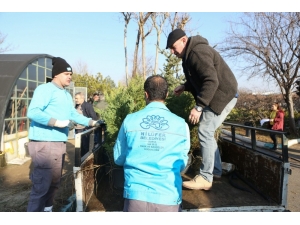 Yeşil Seferberliğe Tam Destek