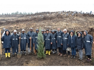Binlerce Fidan Yunusemre’de Toprakla Buluştu