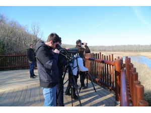 Su Kuşu Sayım Çalışmaları Gerçekleştirildi