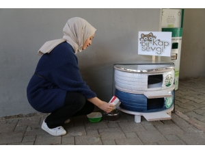 Üniversite Öğrencileri Hurda Lastiklerden Kedilere Yuva Yaptı