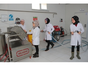 Mandıra Değil Meslek Lisesi