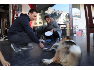 Samsunlu Kuaför Çiftin Sokak Hayvanı Sevgisi