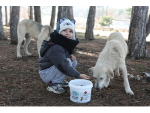 Sokak Hayvanlarına Mama Dağıttılar