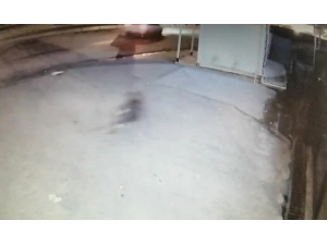 Genç Kızın Metrelerce Sürüklenerek Hayatını Kaybettiği Kaza Kamerada