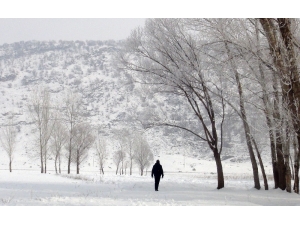 Bitlis’te Dondurucu Soğuklar
