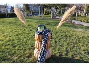 Kardan Değil Kabaktan Adam