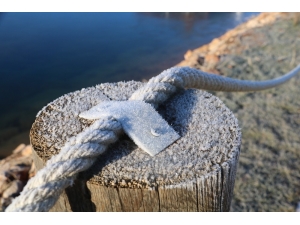 Sivas’ta Hayat Dondu