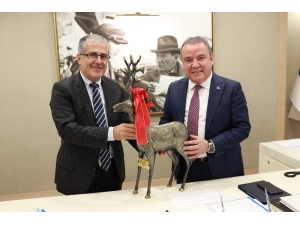 Başkan Böcek, “Esnafın Her Zaman Yanındayız”