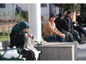 Ocak Ayında Güneşin Tadını Çıkardılar