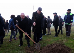 Sakaryalı Gazeteciler Hatıra Ormanına 250 Adet Fidan Dikti