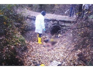 Bolu’da 17 Yaşındaki Genci Öldüren Sanığa Müebbet Hapis İstendi