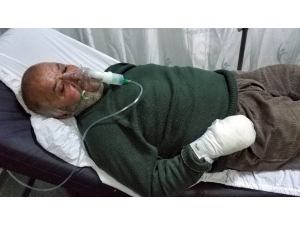 Yangında Hayvanları Kurtarmak İsterken Hastanelik Oldu