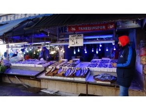 Hamsi Tezgahları Uzun Bir Aradan Sonra Yeninden Şenlendirdi