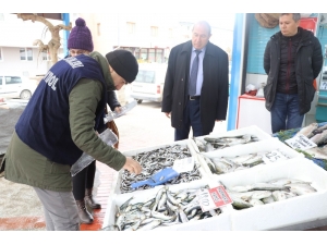 Sivas‘ta Su Ürünleri Denetimleri