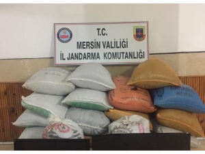 Mersin’de Evden Hırsızlık Zanlıları Yakalandı