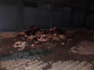 Yangında Mahsur Kalan Anne Ve Çocuklarını İtfaiye Kurtardı