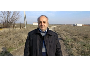 6 Yaşındaki Çocuğu 15 Köpeğin Elinden Kurtardı