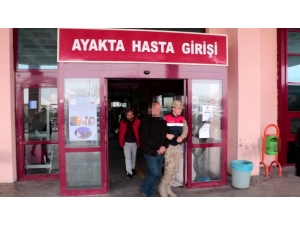 22 Yıl Kaçtı, Saklandığı Çukurda Kıskıvrak Yakalandı