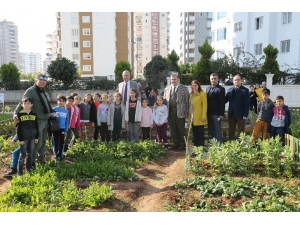 Mezitli Belediyesi Çocuk Hobi Bahçesinde Hasat Sevinci