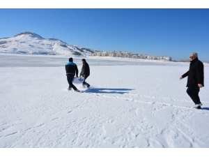 Tuşba Belediyesi, Yaban Hayvanları İçin Doğaya Yem Bıraktı