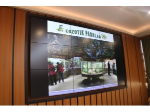 Türkiye’nin En İlginç Egzotik Parkı Sivas’ta Kurulacak