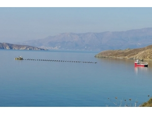Paşalimanı’ndaki Midye Çiftliğinin Ruhsatı İptal Edildi