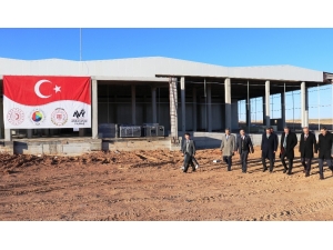 2020 Kayısının Yılı Olacak