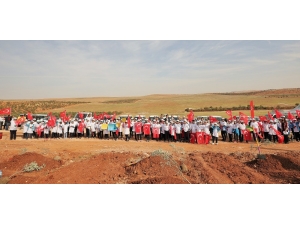 Milyonlarca Metrekare Yeşil Alan Oluşturuldu