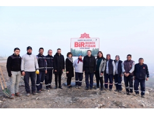 Karesi’de Bir Bebek Bir Fidan Hatıra Ormanı Yeşeriyor