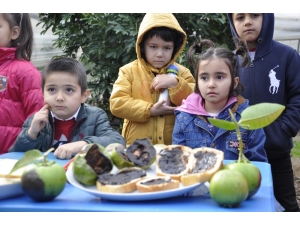 Dalından Çikolata Toplayıp Ekmeğe Sürüp Yediler