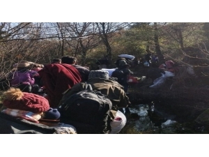 Çanakkale’de 39 Mülteci Yakalandı