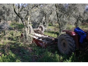 Hayata 29 Gün Tutunabildi