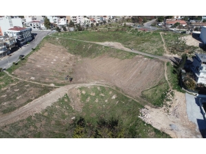 Buca’nın Kalbine Bin Ağaçlık Dev Orman