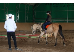 Kış Günü Pony Keyfi