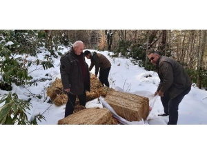 Doğaya Buğday, Yonca Ve Saman Bırakıldı