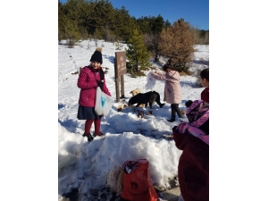 Öğrencilerden Doğadaki Hayvanlar İçin Anlamlı Etkinlik