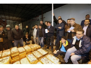 Tütüncü, Balık Mezadını Başlattı