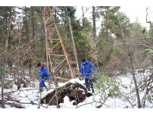 Meski, Vatandaşlara Jeneratörlerle Su Sağladı