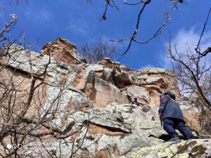 Uçurumda Mahsur Kalan 15 Keçi, 12 Saatte Kurtarıldı