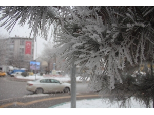 Kütahya’da Kırağı Güzelliği