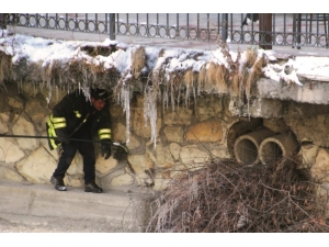 Çoruh Nehri Kenarında Mahsur Kalan Kediye İtfaiye Kurtardı