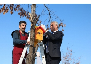 Muş’ta Osmanlı Mimarisi İle Kuş Evleri